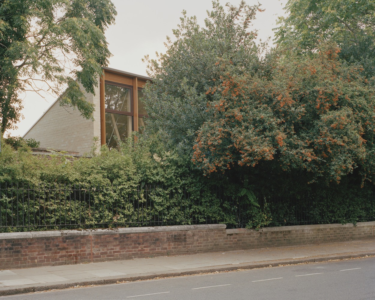 image-0