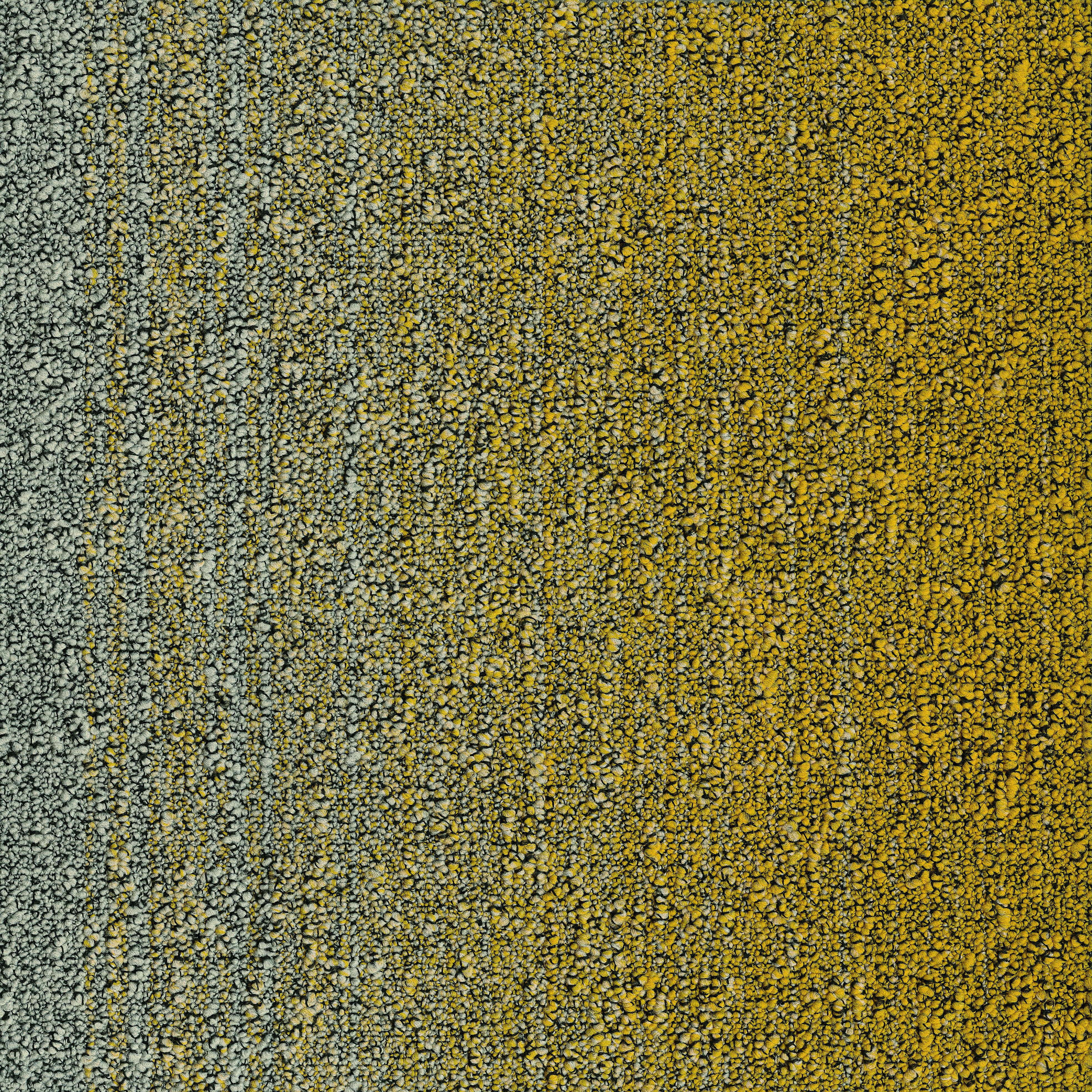 image-0