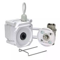 image-0