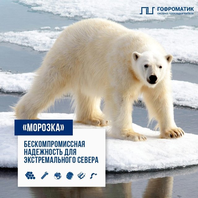 Линейка «Морозка» — электросети выдерживают даже -60°C!