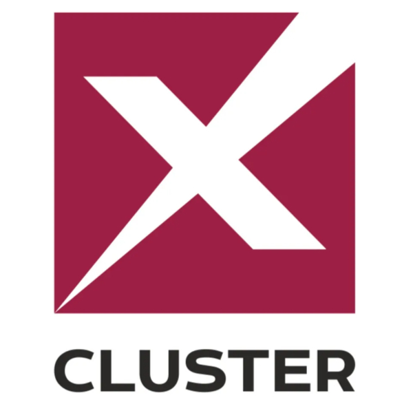 Cluster X