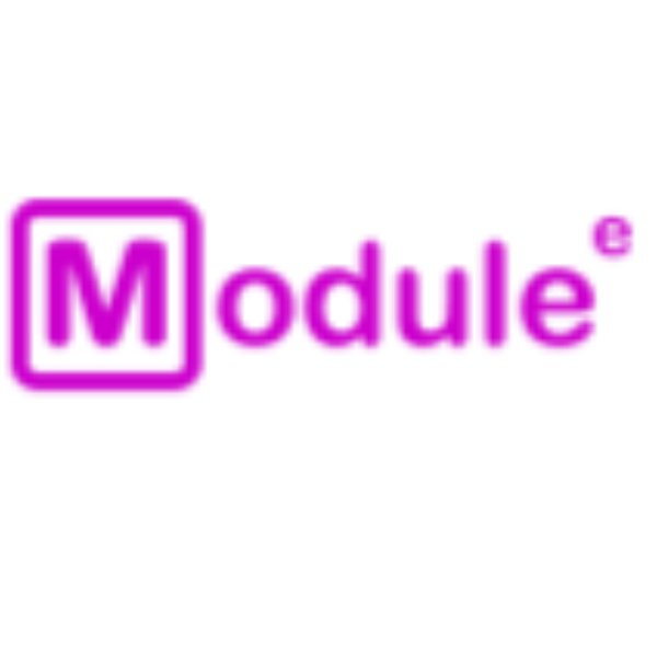 Module Electronic