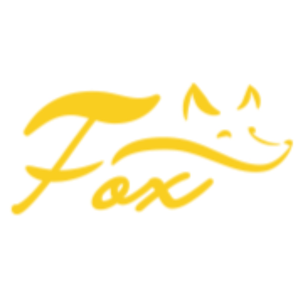 FOX cctv