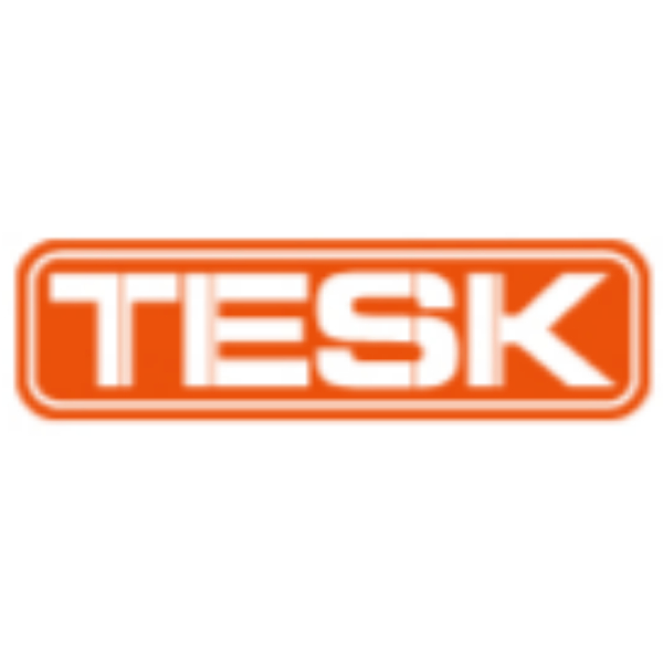Tesk