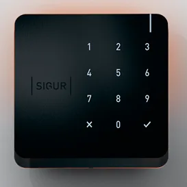 SIGUR MK100