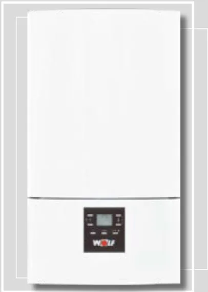 CGG-3K-24/28. Традиционный газовый котёл