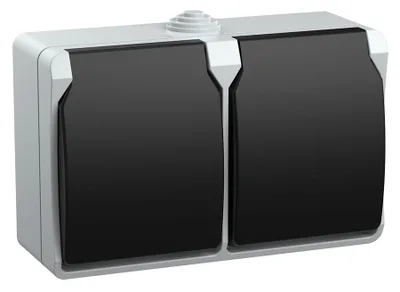 Розетка FORS ОУ З 2-мест 16А IP54