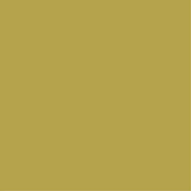EQUITONE [pictura]