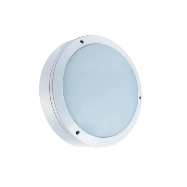 Econex Budget 12 IP65