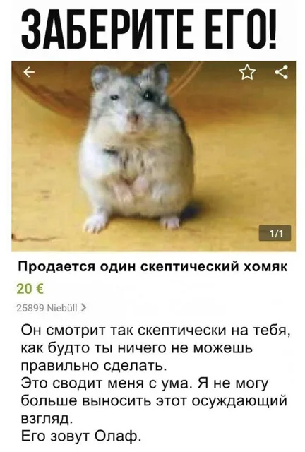 testqqqqqqqqqqqqqqqqqq